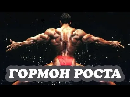 Соматекс что за препарат
